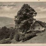 Brezouard gegen Buchekopf