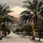 Nervi - Viale delle Palme