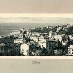Nervi