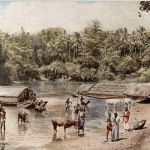 River Scene