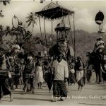The Kendy Perahera - Elephant