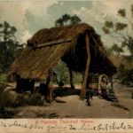 A Mexican Thatched House