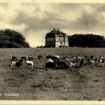 Eremitage Slottet