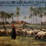 Cairo - Bedouin Shepherds