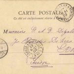 Conakry - Cueillette des palmistes