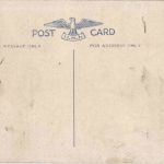 Panama - Alligator hunt - hunting