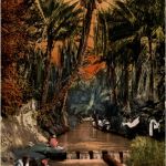 Riviere dans l oasis