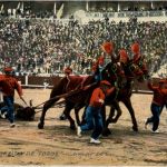 Corrida de Toros