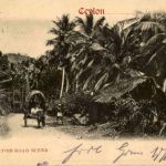 Outstation Road Scene
