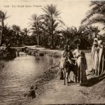 Qued dans l Oasis