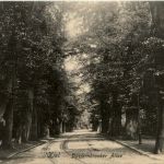 Kiel - Düsternbrooker Allee