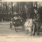 Paris Vecu - La Voiture des tout petits - Goat - Ziege