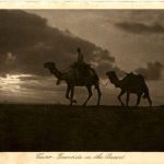 Cairo - Eventide in the desert
