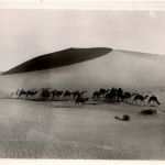 Caravane dans les Dunes