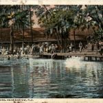 Kissengen Spring near Bartow