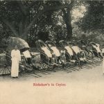 Ceylon Rickshaws