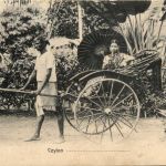 Ceylon Ginricksha