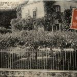 Le Plessis Trevise - Rosier Geant