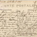 Le Plessis Trevise - Rosier Geant