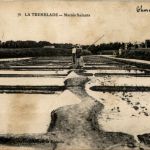 La Tremblade - Marais Salants