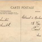 Robinson - Le Vrai arbre