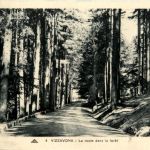 Vizzavona - La route dans le foret