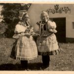 Vlenov - Moravske narodni koje - Robatec u Hodonina