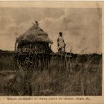 Zambeze