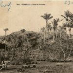 Senegal - Dans la brousse