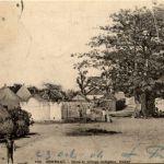 Senegal - Dans la village indigene