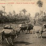 Guinee - Route de Canakry au Niger