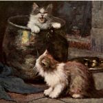 Katzen sign. Huber