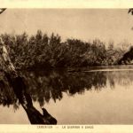 Cameroun - La Dibamba a dinde