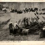 Jerusalem - Animal market
