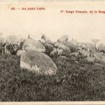 Sangha au Tschad