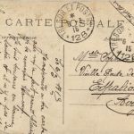 Albert - Roi des Belges