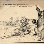 Hase
