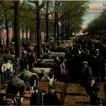 Groningen - Veemarkt