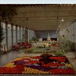 Stuttgart - Bundes Gartenschau 1961