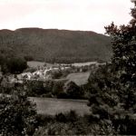 Zittenfelden