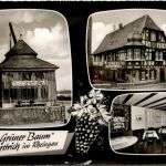 Oestrich - Hotel Grüner Baum