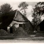 Boerderij - Elspeet