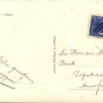Boerderij - Elspeet