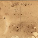Carpentras - Promenade des Platanes