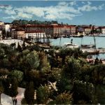 Pola