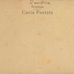 Sinaja - Parcul Castelului Peles