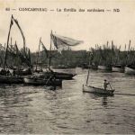 Concarneau - La flottille des sardiniers