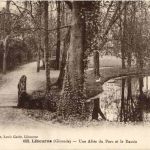 Libourne