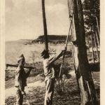 Arcachon - Resineurs au travail