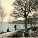 Ulricehamn - Sten Sture eken vid Skottek